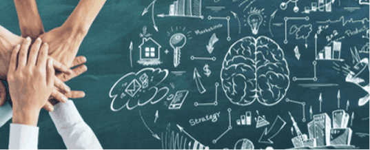 Portfolio Approach research process step