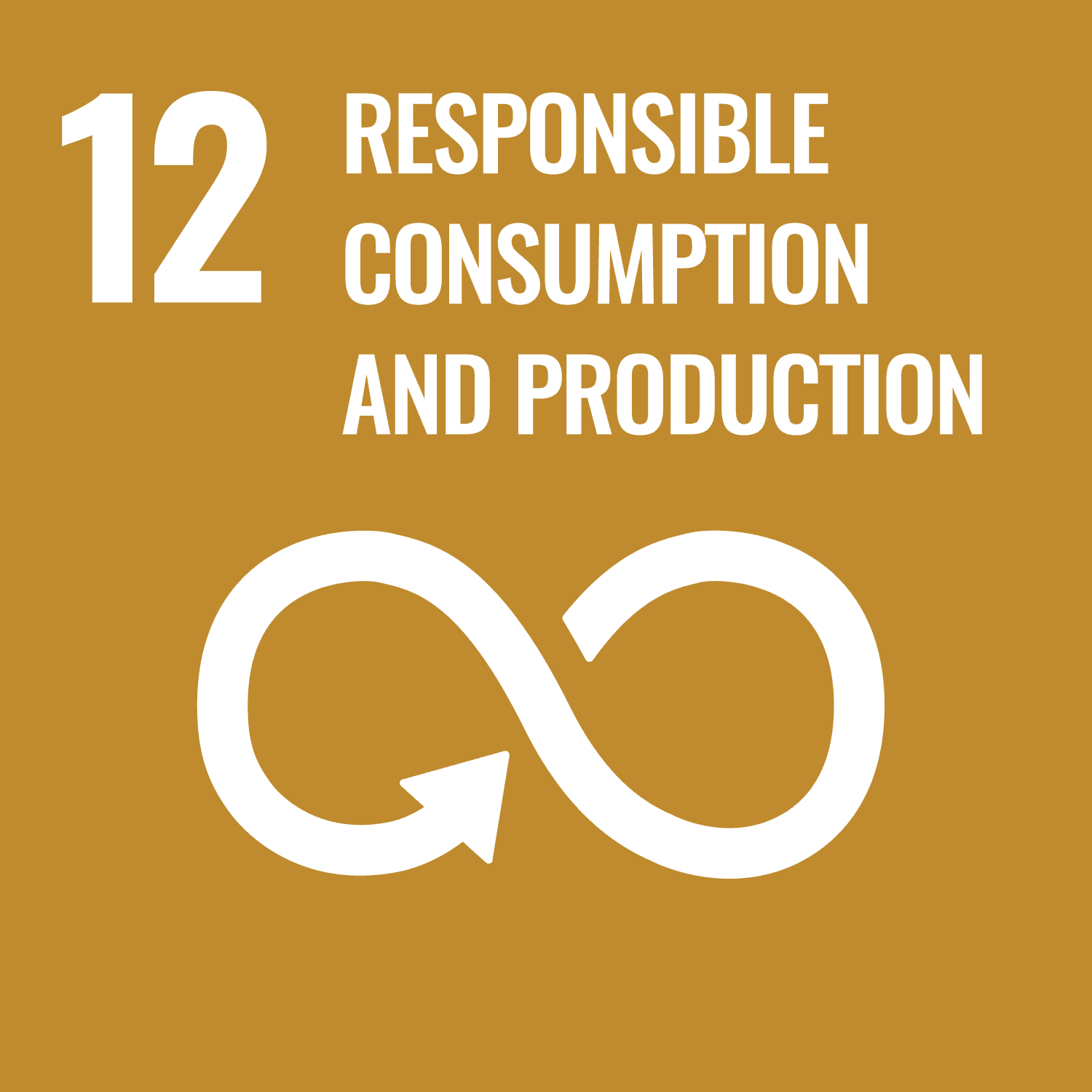 SDG 12 — Responsible Consumption and Production details