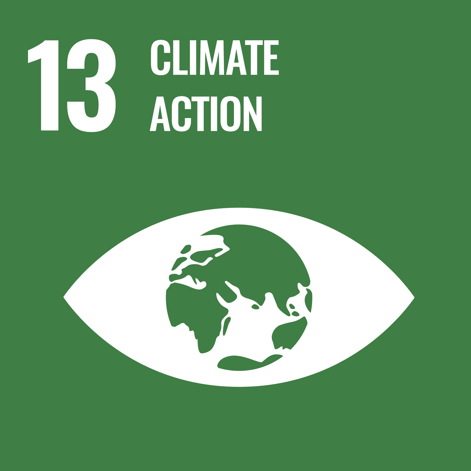 SDG 13 — Climate Action details