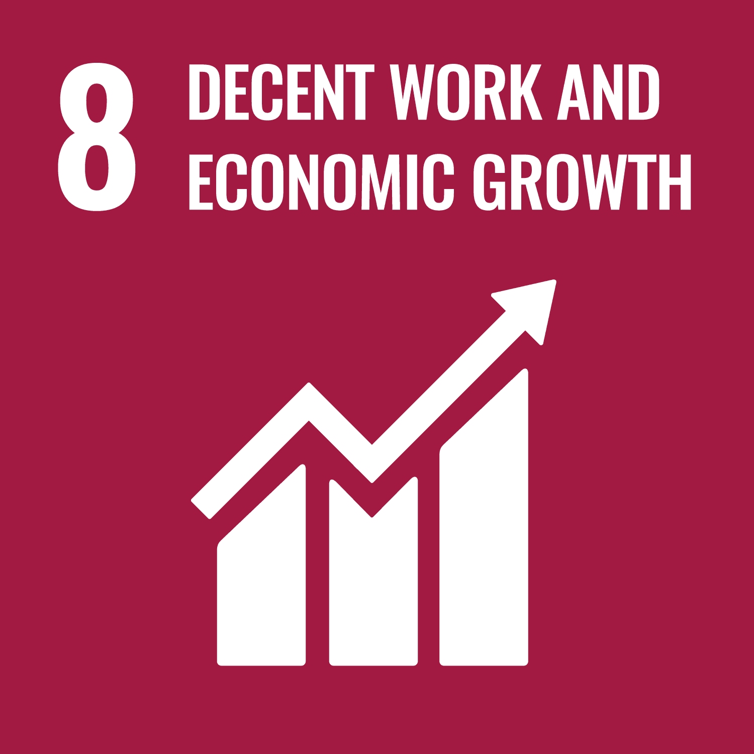 SDG 8 — Decent Work and Economic Growth details